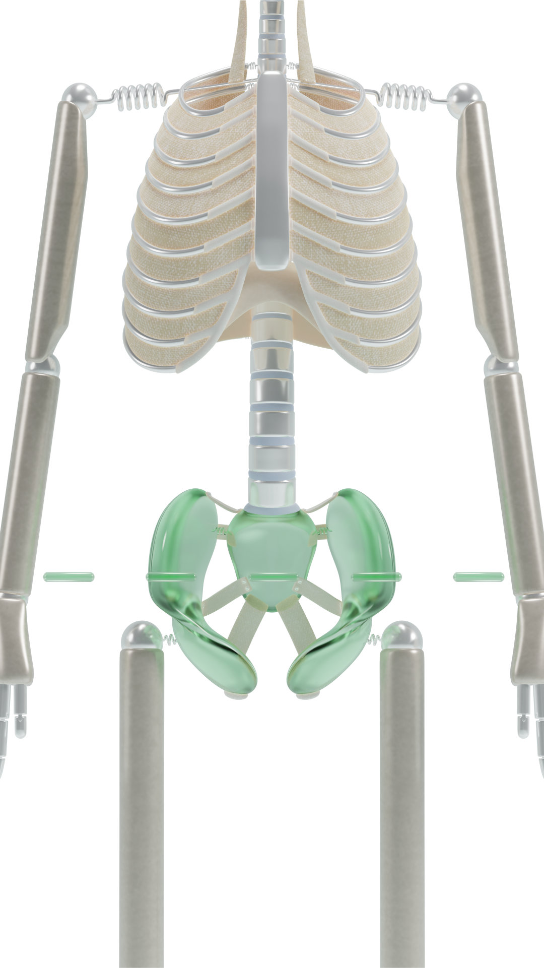 Lateral Pelvic Tilt ideal