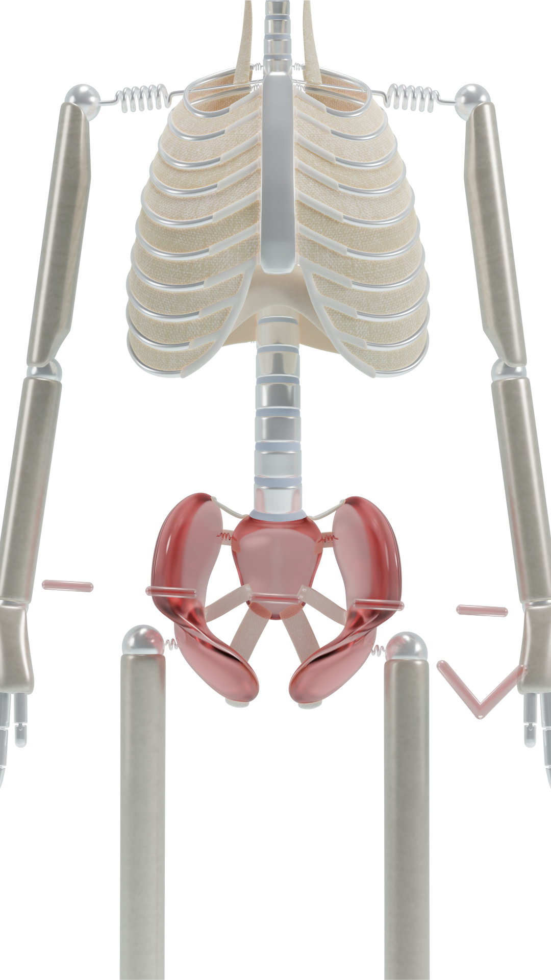 Uneven Hips Lateral Pelvic Tilt