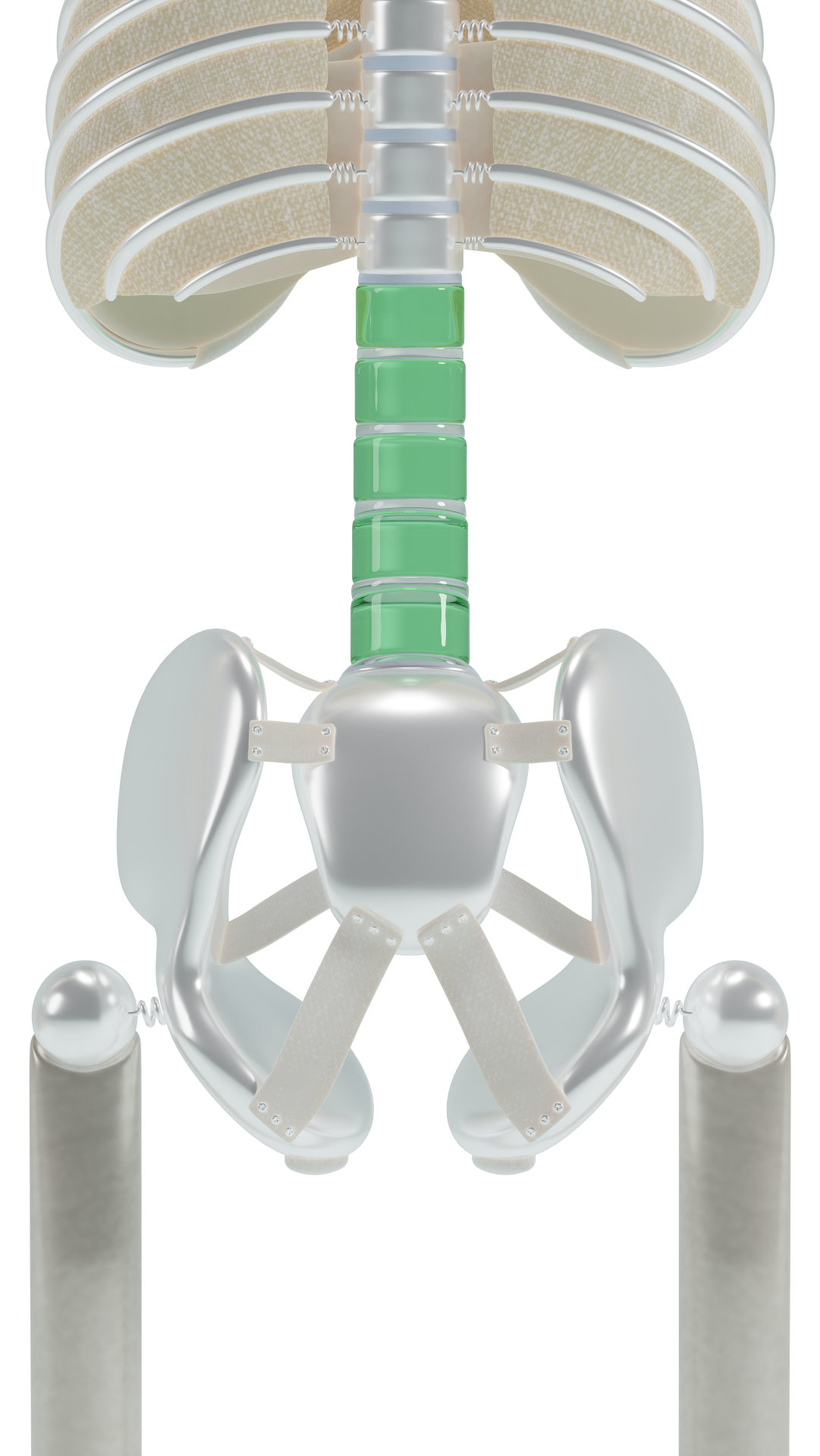 Pelvic rotation ideal Lumbar spine