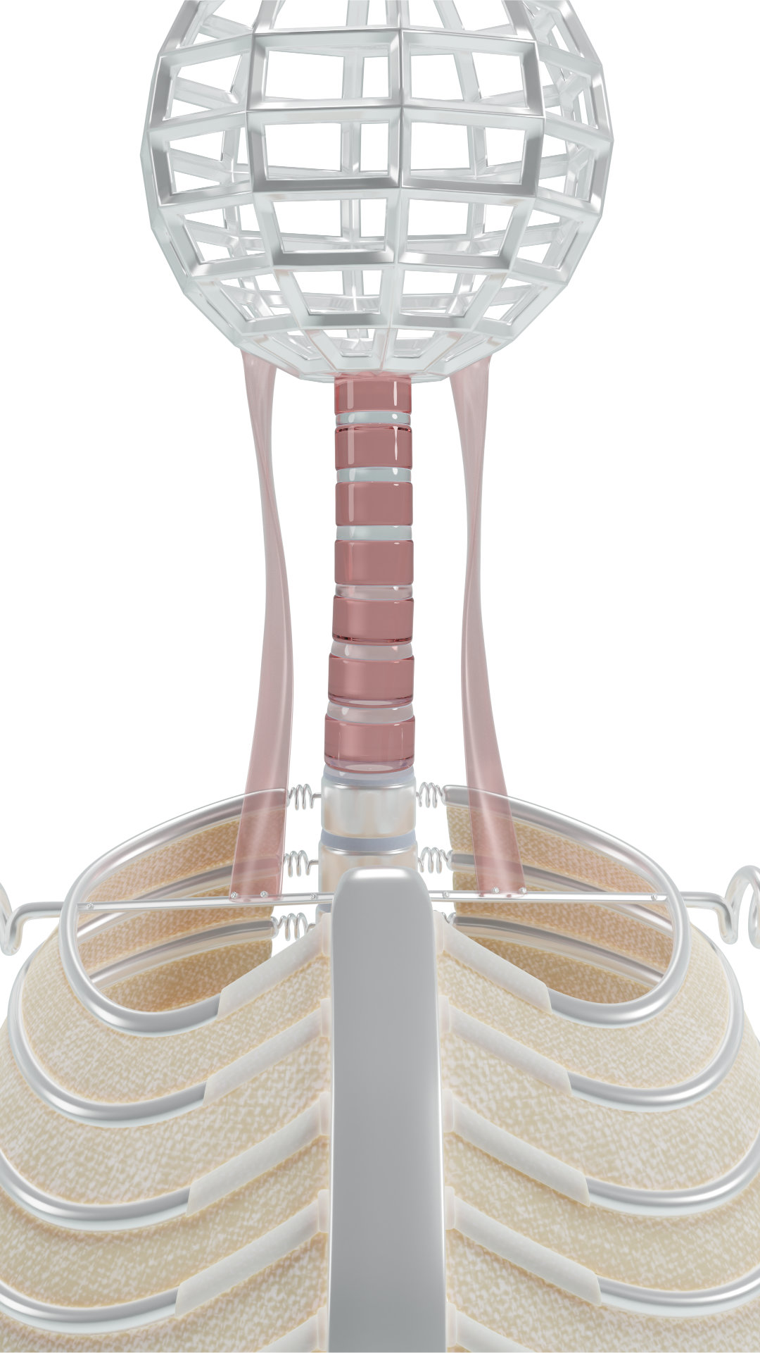 Neck Excessive rotation cervical spine