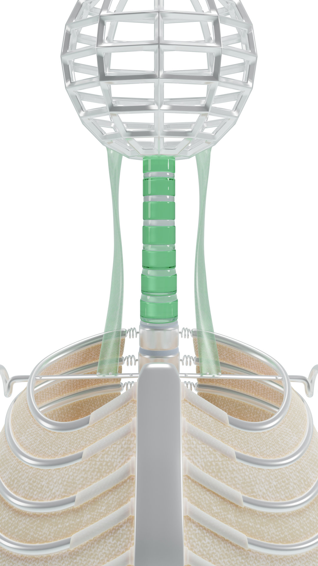 Neck rotation-balance Ideal cervical spine