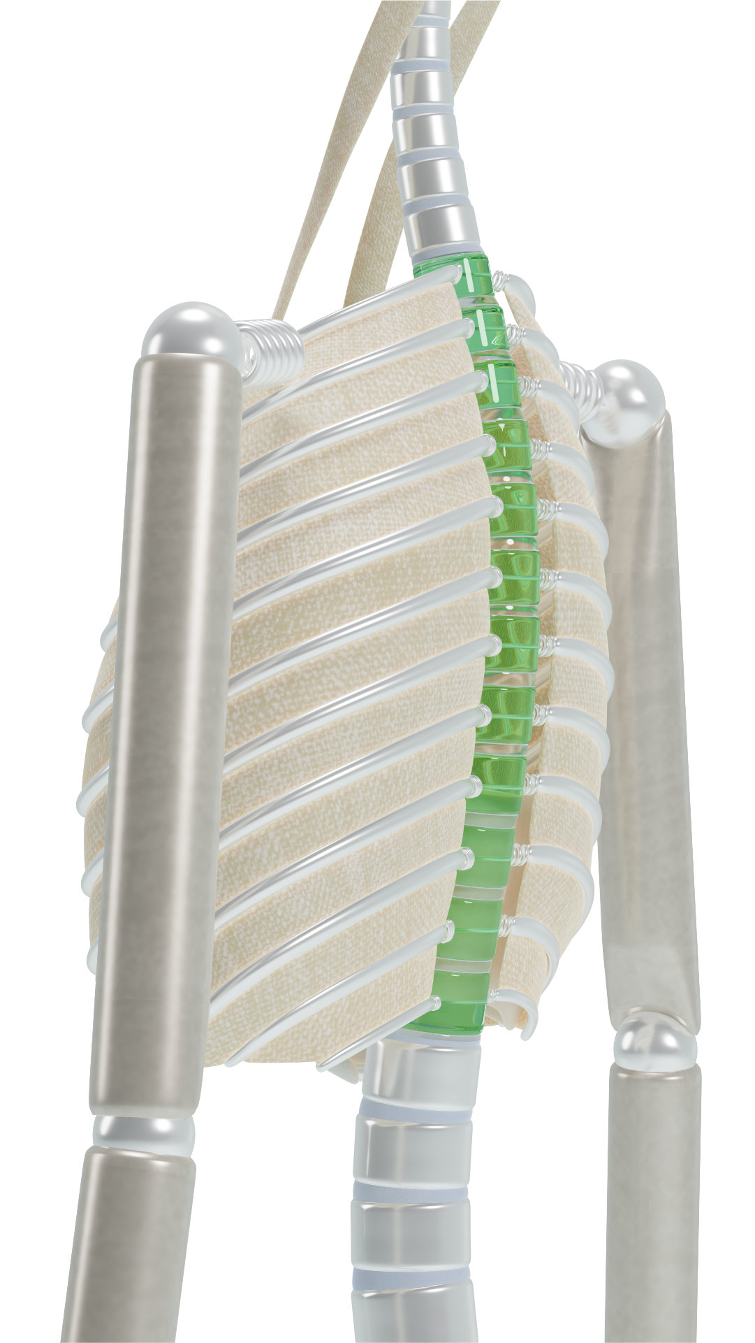 Thoracic spine physiological curvature