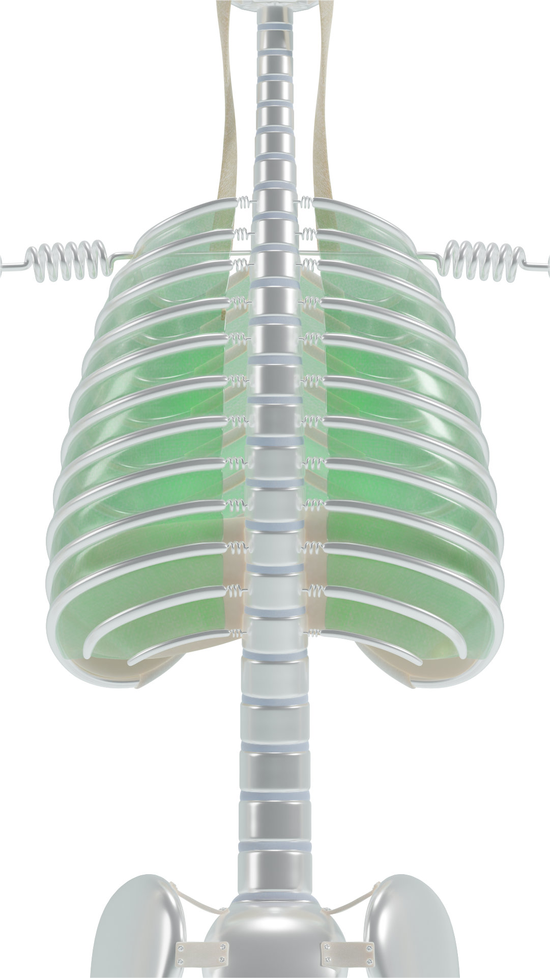 Thoracic rotation ideal thoracic spine