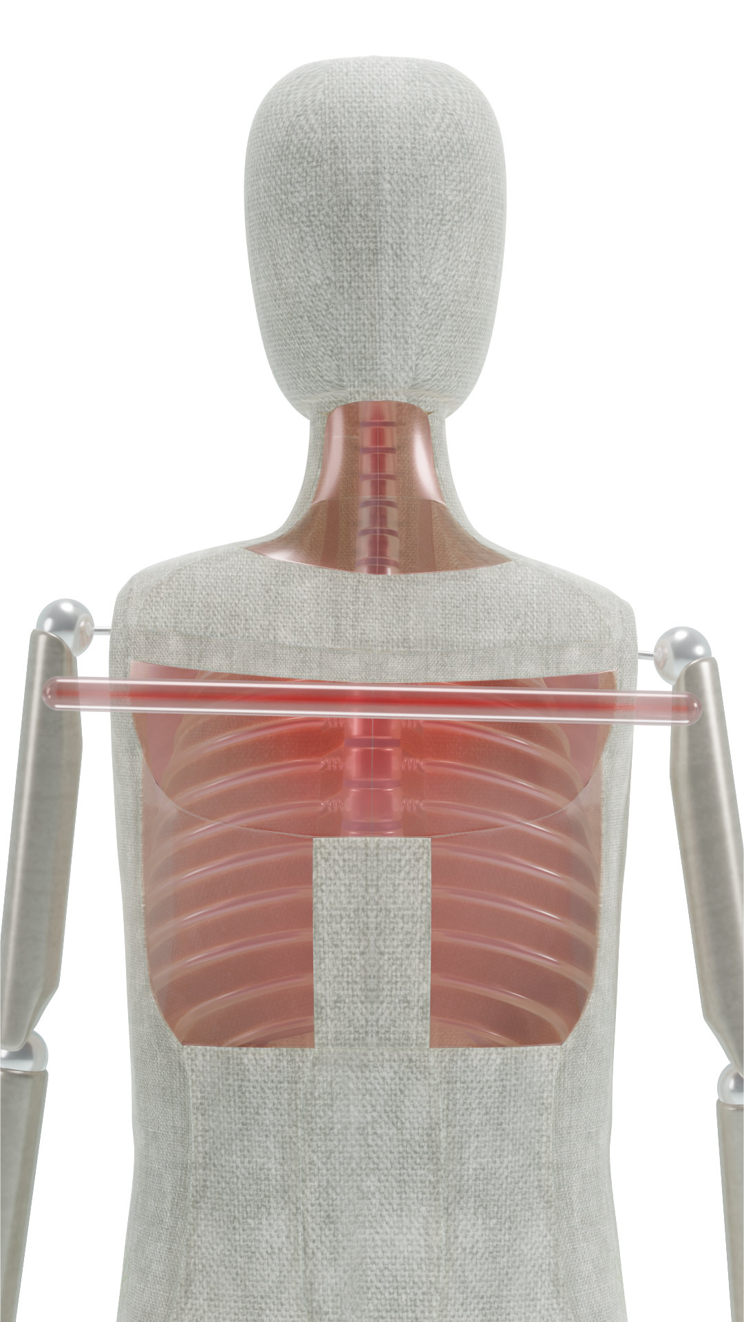 Uneven shoulders thoracic spine